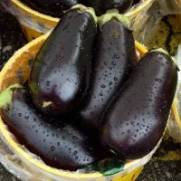 Купить Баклажан Вера