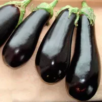 Купить Баклажан Жизель