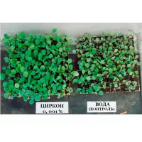 Купить Циркон удобрение