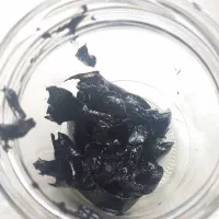 Купить Фитоспорин М супер-универсал паста