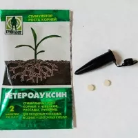 Купить Гетероауксин