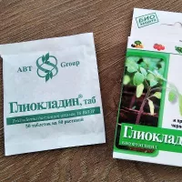 Купить Глиокладин