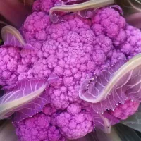 Купить семена Капуста Деперпл фиолетовая капуста