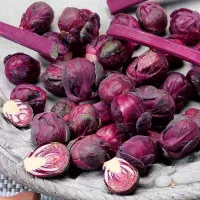 Купить семена Капуста Виноградная гроздь брюссельская
