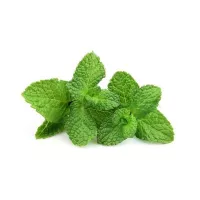 Купить Мята Снежана