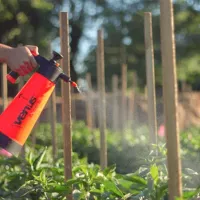 Купить Плантафол 10 54 10 удобрение valagro