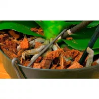 Купить Субстрат кокосовый для орхидей и рассады 1,5 л