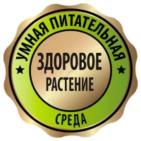 Купить Цион для орхидей