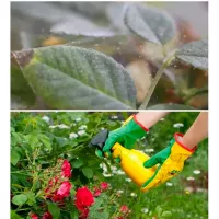 Купить фитоверм