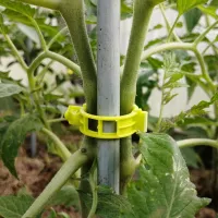 Купить Клипса для подвязки томатов к опоре