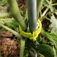 Купить Клипса для подвязки томатов к опоре