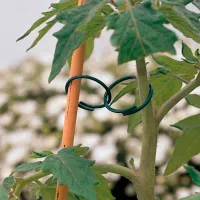 Купить Кольцо для подвязки томатов