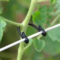 Купить Крепеж для подвязки томатов, винограда
