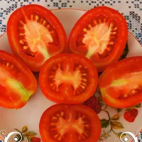 Купить Томат Гибрид тарасенко №43