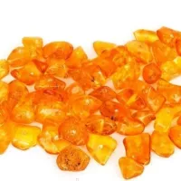 Купить Янтарная кислота стимулятор роста растений