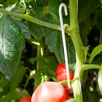 Купить Кистедержатель для томатов белый