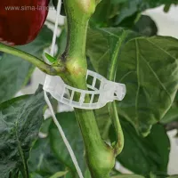 Купить Клипса белая для крепления томатов, огурцов, перцев к опоре