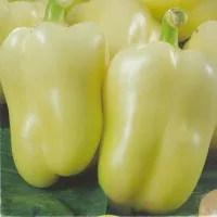 Купить Перец Халиф