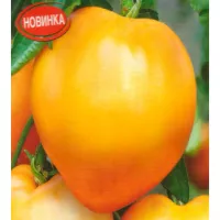 Купить семена Томат Бычье сердце персиковое