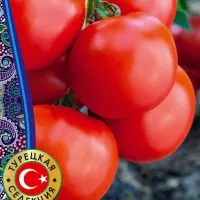 Купить семена Томат Турецкий сверхранний