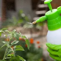 Купить Завязь для томатов, перцев, баклажанов стимулятор плодообразования