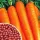 Купить семена Морковь НИИОХ 336 в гранулах