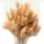 Купить семена Злаковые Лагурус Заячий хвостик (сухоцветы, зайцехвост)