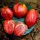 Купить семена Томат Сердце Марты