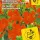 Купить семена Мимулюс Мэджик Оранж Купить семена Мимулюс Мэджик Оранж