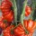 Купить Томат Американский ребристый красный