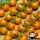 Купить семена Томат Русская коса оранжевая черри
