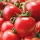 Купить семена Томат Зимняя вишня F1