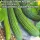 Купить семена Армянский Огурец Тортарелло Бареззе