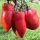Купить семена Томат Корнабель
