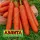 Купить семена Морковь Самсон на ленте