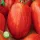 Купить семена Томат Дон Жуан