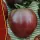 Купить семена Томат Гном Пурпурное сердце