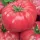 Купить семена Томат Микадо розовый