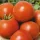 Купить семена Томат Петергоф