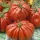 Купить семена Томат Ругантино