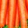 Купить семена Морковь Детская сладость в пакетах