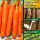 Купить семена Морковь Карамелька на ленте