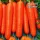 Купить семена Морковь Карамелька в гранулах