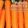 Купить Морковь НИИОХ 336 в пакетах