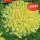 Купить семена Бархатцы Хризантема Лимон прямостоячие махровые