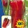 Купить семена Перец Лидо Ламуйо