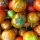Купить семена Баклажан Турецкий оранжевый (круглый баклажан)