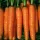 Купить семена Морковь Балтимор