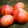 Купить семена томат Винтаж