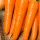 Купить семена Морковь Мармелад оранжевый